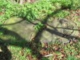 image of grave number 504945